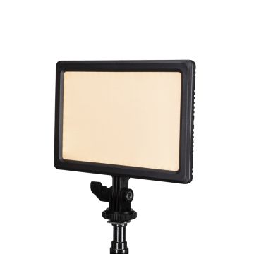 Studio light shop near me top