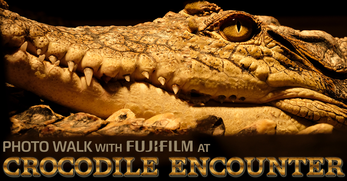 Fujifilm Photo Walk at Crocodile Encounter